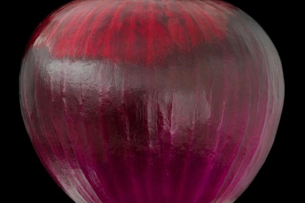 Kraken onion