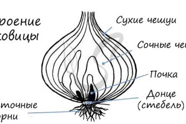 Зеркало на кракен