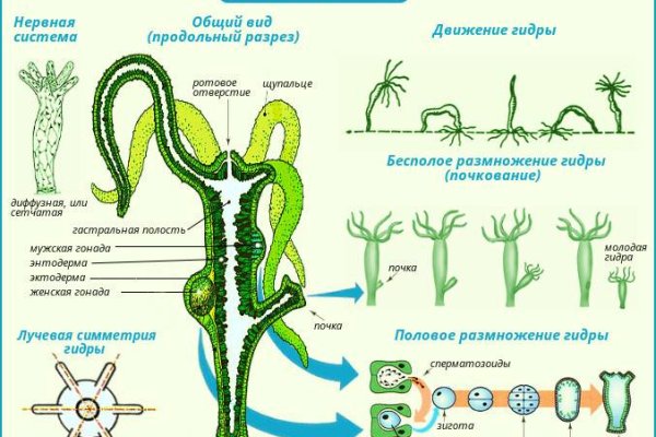 Не работает сайт kraken