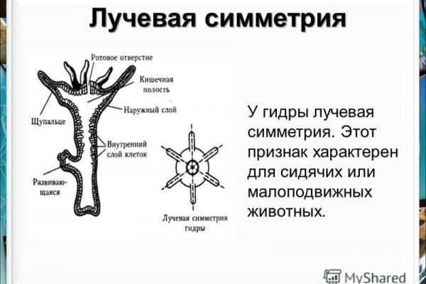 Кракен найдется все что это